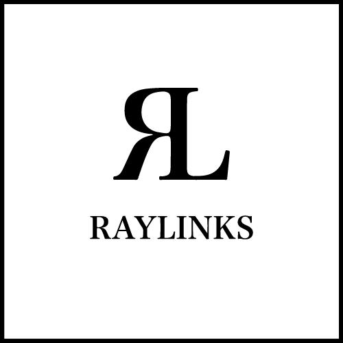 株式会社RAYLINKS